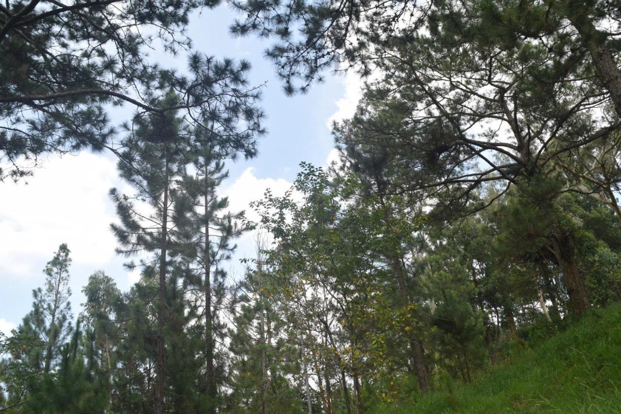 Hotel Pham Duy Da Lat Zewnętrze zdjęcie